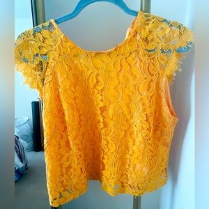 Eva Mendez Crop Lace Top | EUC